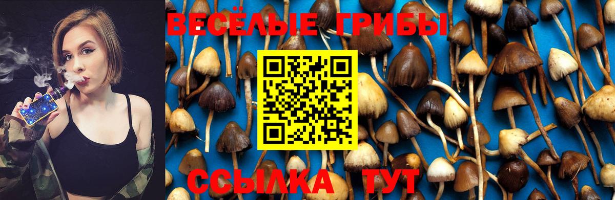 Псилоцибиновые грибы MAGIC MUSHROOMS Малгобек